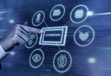 B2B Data Management